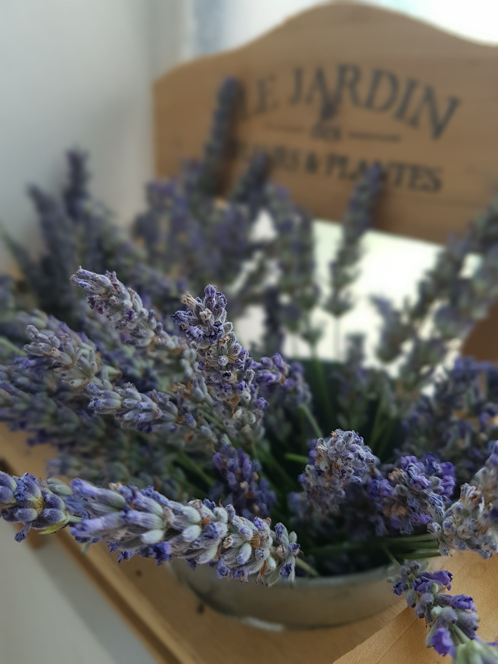 lavander_decoration